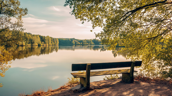 JPG 나무 편집이미지 공원 호수 물결 벤치 하늘 휴식 미소 풍경 사람없음 여름 햇빛 고요 일몰 산책로 편안함 힐링 조용 편집실사 AI포토 AI콘텐츠 식물 계절 공공시설 길 컨셉 의자 표정 태양 노을 감각 CG 파일형식