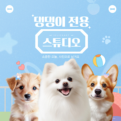 템플릿 감정 컨셉 공 관계 바캉스용품 파란색 반려동물 개 리트리버 파일형식 벡터 하늘색 비치볼 래브라도리트리버 시바견 포메라니안 강아지 스튜디오 귀여움 즐거움 놀이 친구 행복 AI파일 사람없음 반려견 이미지템플릿