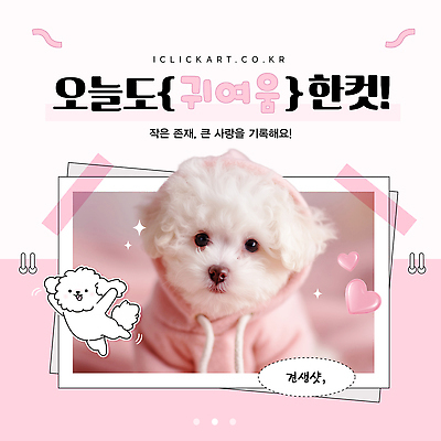 템플릿 컬러 컨셉 반려동물 개 폴라로이드 파일형식 벡터 스티커 폴라로이드사진 푸들 강아지 귀여움 분홍색 AI파일 사람없음 반려견 이미지템플릿 스튜디오