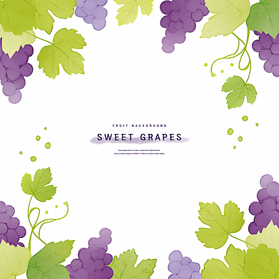 PSD 잎 일러스트 포도 수채화 프레임 사람없음 초록색 보라색 카피스페이스 국내일러스트 식물 컬러 과일 공백 파일형식