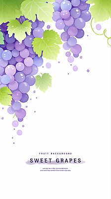 PSD 잎 일러스트 포도 수채화 사람없음 보라색 카피스페이스 국내일러스트 식물 컬러 과일 공백 파일형식