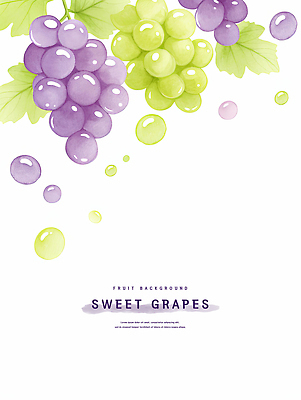 PSD 일러스트 포도 수채화 사람없음 초록색 보라색 카피스페이스 국내일러스트 컬러 과일 공백 파일형식