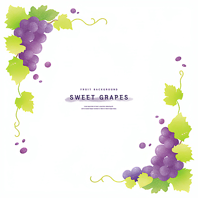 PSD 잎 일러스트 포도 수채화 프레임 사람없음 보라색 카피스페이스 국내일러스트 식물 컬러 과일 공백 파일형식