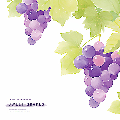 PSD 백그라운드 잎 일러스트 포도 수채화 사람없음 초록색 보라색 국내일러스트 식물 컬러 과일 파일형식