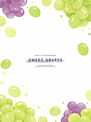 PSD 일러스트 포도 수채화 프레임 사람없음 초록색 보라색 카피스페이스 국내일러스트 컬러 과일 공백 파일형식