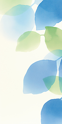 JPG 백그라운드 일러스트 자연 나뭇잎 수채화 사람없음 연두색 여름 파란색 국내일러스트 AI일러스트 AI콘텐츠 계절 컬러 잎 초록색 생태계 파일형식