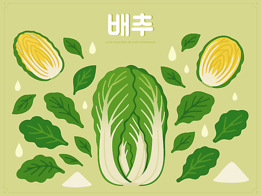 한국문화 한국전통 한식 일러스트 재료 반찬 요리 사람없음 초록색 전통음식 재료손질 배추 준비 소금 비타민 김장재료 절임 절임배추 국내일러스트 AI파일 동양문화 전통 음식 컬러 채소 식재료 한국 김장 손질 영양소 파일형식 벡터