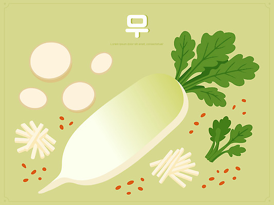 한국문화 한국전통 한식 일러스트 재료 요리 사람없음 초록색 식사 전통음식 무 재료손질 준비 고춧가루 김장재료 다듬기 무채 생채 국내일러스트 AI파일 동양문화 전통 음식 컬러 식재료 모션 뿌리채소 한국 가루 김장 손질 파일형식 벡터