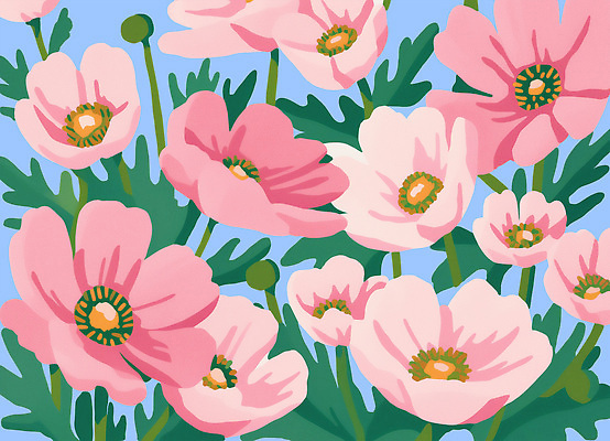 PSD 화초 분홍색 백그라운드 꽃무늬 일러스트 자연 풍경 사람없음 정원 코스모스 화사함 국내일러스트 식물 꽃 컬러 컨셉 무늬 생태계 파일형식