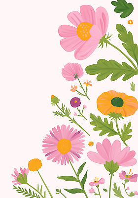 PSD 분홍색 백그라운드 꽃무늬 패턴 일러스트 자연 사람없음 코스모스 원예 화사함 차분 국내일러스트 꽃 컬러 컨셉 무늬 취미 생태계 파일형식