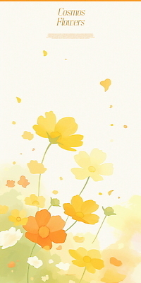 PSD 꽃잎 일러스트 바람 수채화 사람없음 노란색 코스모스 그림 번짐 화사함 차분 국내일러스트 자연요소 꽃 컬러 컨셉 날씨 파일형식 효과