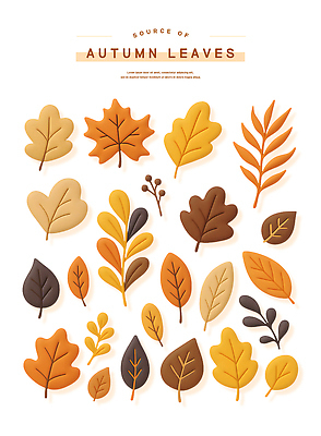 PSD 편집이미지 단풍 낙엽 자연 나뭇잎 사람없음 3D 가을 오브젝트 편집3D 계절 잎 디지털합성 생태계 파일형식