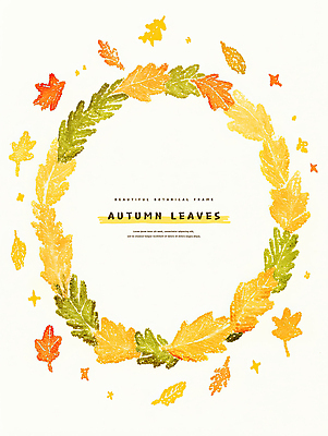 PSD 낙엽 일러스트 자연 프레임 사람없음 가을 카피스페이스 국내일러스트 계절 잎 공백 생태계 파일형식