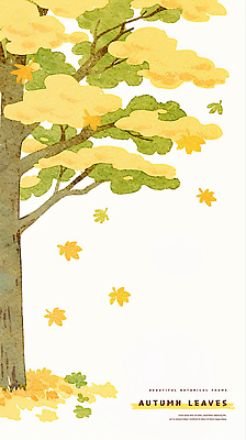 PSD 나무 낙엽 일러스트 자연 사람없음 가을 떨어짐 국내일러스트 식물 계절 컨셉 잎 생태계 파일형식