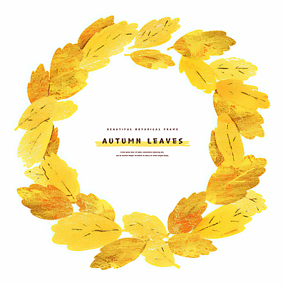 PSD 낙엽 일러스트 자연 사람없음 가을 원형프레임 카피스페이스 국내일러스트 계절 잎 프레임 공백 원형 생태계 파일형식