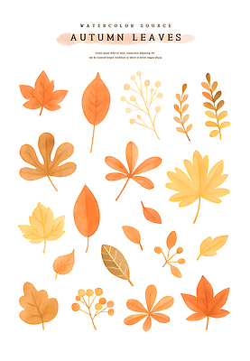 PSD 낙엽 일러스트 자연 나뭇잎 수채화 사람없음 가을 오브젝트 국내일러스트 계절 잎 생태계 파일형식