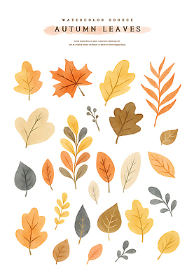 PSD 단풍 낙엽 일러스트 자연 나뭇잎 수채화 사람없음 가을 오브젝트 국내일러스트 계절 잎 생태계 파일형식
