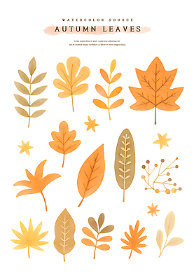 PSD 낙엽 일러스트 자연 나뭇잎 수채화 사람없음 가을 오브젝트 국내일러스트 계절 잎 생태계 파일형식