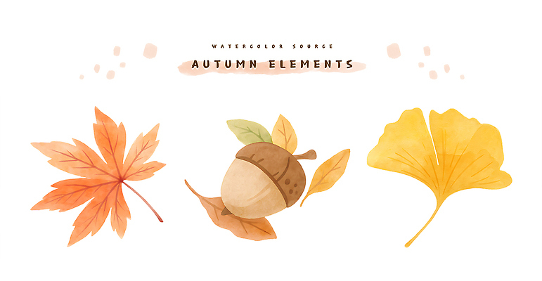 PSD 식물 디자인 계절 예술 컬러 단풍 일러스트 자연 나뭇잎 수채화 풍경 가을 표현 은행잎 도토리 감성 뷰티풀 색감 국내일러스트 컨셉 잎 견과류 생태계 파일형식