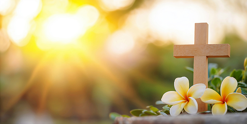 JPG 나무 편집이미지 꽃 기독교 십자가 자연 생명 아침 풍경 햇빛 평화 기도 조화 뷰티풀 순간 편집실사 AI포토 AI콘텐츠 주간 식물 종교 컨셉 태양 CG 생태계 파일형식