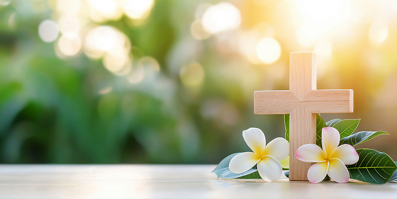 JPG 나무 식물 편집이미지 꽃 기독교 종교 십자가 자연 탁자 초록색 햇빛 평화 플루메리아 조화 뷰티풀 편집실사 AI포토 AI콘텐츠 컬러 가구 컨셉 태양 CG 생태계 파일형식