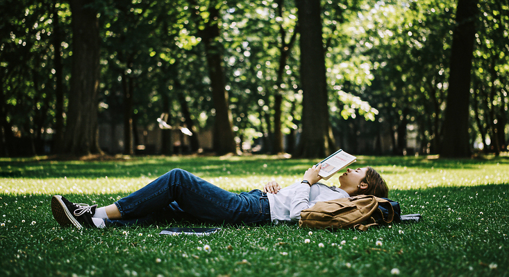 JPG 나무 편집이미지 공원 자연 휴식 잔디 취미 책 여름 독서 햇빛 편안함 오후 의료성형뷰티 편집실사 AI인물포토 AI콘텐츠 식물 계절 공공시설 컨셉 태양 감각 CG 생태계 파일형식 AI포토