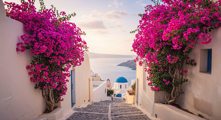 JPG 편집이미지 건축 꽃 바다 여행 자연 거리 풍경 고요 일몰 그리스 산토리니 오후 편집실사 AI포토 AI콘텐츠 식물 유럽 노을 CG 생태계 파일형식