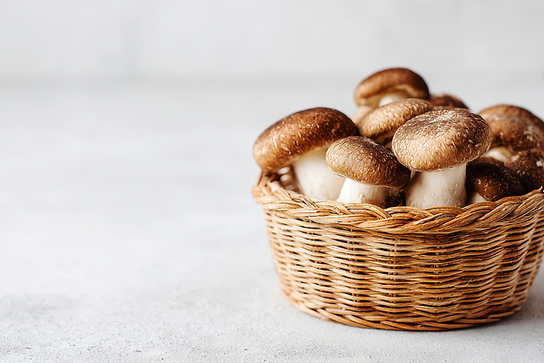 JPG 편집이미지 음식 식재료 재료 자연 탁자 건강 요리 바구니 주방 식사 버섯 수확 신선 채식 비건 편집실사 AI포토 AI콘텐츠 가구 농업 CG 생태계 채식주의자 파일형식