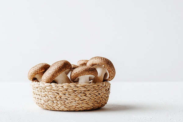 JPG 식물 편집이미지 음식 식재료 자연 건강 요리 농작물 바구니 주방 버섯 신선 유기농 편집실사 AI포토 AI콘텐츠 웰빙 농업 CG 생태계 파일형식