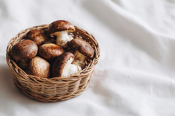 JPG 편집이미지 음식 채소 식재료 자연 건강 요리 농작물 갈색 바구니 주방 식사 버섯 신선 세련 편집실사 AI포토 AI콘텐츠 컬러 농업 CG 생태계 파일형식