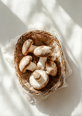 JPG 식물 편집이미지 여유 음식 자연 건강 요리 바구니 식사 버섯 수확 신선 오브젝트 질감 색감 편집실사 AI포토 AI콘텐츠 감정 농업 CG 생태계 파일형식