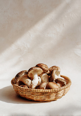 JPG 편집이미지 음식 식재료 탁자 따뜻함 요리 장식 농작물 바구니 촬영 버섯 신선 유기농 편집실사 AI포토 AI콘텐츠 웰빙 가구 농업 CG 파일형식