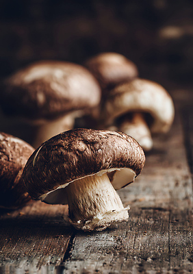 JPG 나무 편집이미지 음식 재료 자연 탁자 조명 따뜻함 건강 요리 장식 주방 버섯 분위기 유기농 편집실사 AI포토 AI콘텐츠 식물 웰빙 가구 컨셉 CG 생태계 파일형식