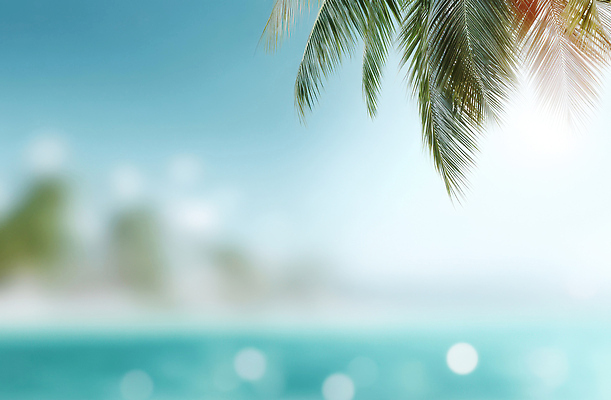 JPG 편집이미지 파도 바다 여행 자연 휴식 열대 풍경 해변 여름 야자수 햇빛 일몰 편집실사 AI컴퓨터그래픽 AI콘텐츠 나무 계절 컨셉 태양 노을 CG 생태계 파일형식