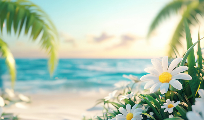 JPG 편집이미지 꽃 바다 여행 자연 휴식 풍경 해변 여름 파란색 햇빛 평화 일몰 뷰티풀 편집실사 AI컴퓨터그래픽 AI콘텐츠 식물 계절 컬러 컨셉 태양 노을 CG 생태계 파일형식