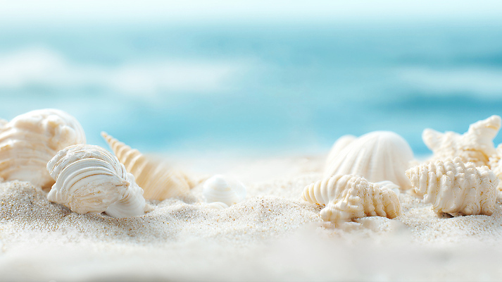 JPG 편집이미지 모래 바다 여행 자연 바람 풍경 해변 여름 햇빛 평화 조개껍데기 해수욕 편집실사 AI포토 AI콘텐츠 자연요소 계절 컨셉 날씨 휴가 조개 태양 CG 생태계 파일형식