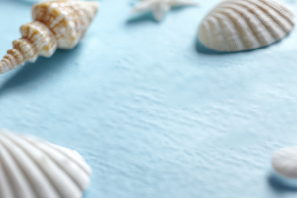 JPG 편집이미지 바다 백그라운드 자연 유물 해변 여름 파란색 수중동물 조개껍데기 수집 편집실사 AI포토 AI콘텐츠 동물 전통 계절 컬러 조개 CG 생태계 파일형식