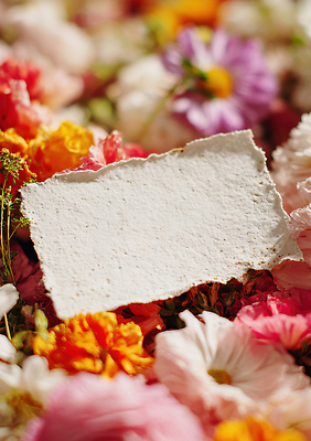 JPG 식물 편집이미지 디자인 꽃 여유 컬러 자연 장식 여름 그림 감성 조화 뷰티풀 생동감 편집실사 AI포토 AI콘텐츠 계절 감정 컨셉 CG 생태계 파일형식