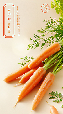 PSD 템플릿 음식 농업 채소 자연 건강 웃음 파란색 햇빛 농장 당근 수확 신선 유기농 비타민 이미지템플릿 웰빙 산업 컬러 뿌리채소 표정 태양 생태계 영양소 파일형식