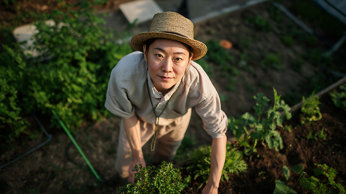 JPG 식물 편집이미지 중년 농업 채소 자연 생명 건강 햇빛 환경 정원 흙 수확 작업 농부 의료성형뷰티 편집실사 AI인물포토 AI콘텐츠 직업 산업 성인 태양 CG 생태계 파일형식 AI포토
