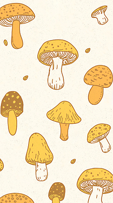 JPG 모양 식물 디자인 백그라운드 일러스트 자연 그래픽 노란색 버섯 습기 흰색 숲 크기 유기농 생태계 손그림 흩어짐 국내일러스트 AI일러스트 AI콘텐츠 웰빙 컬러 컨셉 파일형식