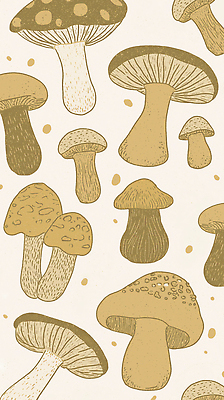 JPG 식물 디자인 예술 백그라운드 일러스트 자연 종류 버섯 다양 표현 오브젝트 그림 유기농 생태계 질감 천연 뷰티풀 색감 국내일러스트 AI일러스트 AI콘텐츠 웰빙 다수 파일형식