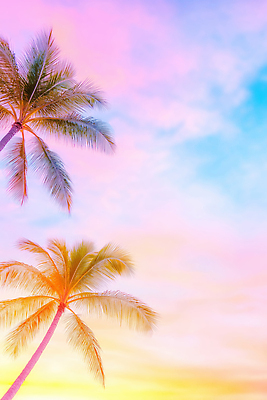 JPG 구름 편집이미지 컬러 여행 자연 하늘 아침 열대 풍경 야자수 평화 일출 일몰 열대식물 뷰티풀 트로피컬아트 편집실사 AI포토 AI콘텐츠 주간 자연요소 나무 식물 컨셉 노을 CG 그림 생태계 파일형식