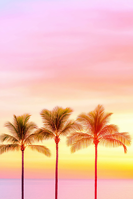 JPG 구름 편집이미지 바다 컬러 여행 자연 하늘 열대 풍경 해변 야자수 평화 노을 일몰 뷰티풀 편집실사 AI포토 AI콘텐츠 자연요소 나무 컨셉 CG 생태계 파일형식