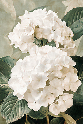 JPG 식물 꽃잎 꽃 화초 하늘색 잎 일러스트 자연 생명 풍경 여름 정원 원예 식물원 화단 조화 만개 뷰티풀 싱그러움 오후 국내일러스트 AI일러스트 AI콘텐츠 계절 취미 파란색 생태계 파일형식