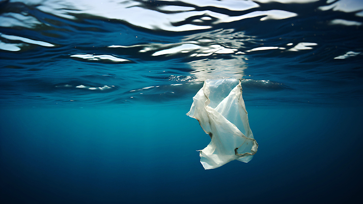 JPG 편집이미지 지구 바다 자연 봉투 환경 심해 수중동물 수면 오염 보호 플라스틱 흔들림 생태계 문제 편집실사 AI포토 AI콘텐츠 동물 컨셉 모션 재질 물 바닷속 CG 파일형식