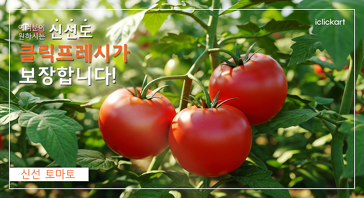 PSD 식물 편집이미지 열매 농업 채소 자연 여름 햇빛 농장 정원 수확 성장 신선 유기농 이미지편집 웰빙 계절 산업 태양 생태계 파일형식