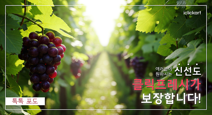 PSD 편집이미지 농업 과일 자연 포도 건강 여름 햇빛 농장 농사 수확 신선 맛 포도밭 신선도 이미지편집 계절 산업 컨셉 밭 태양 생태계 파일형식