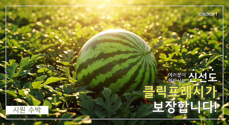 PSD 편집이미지 농업 과일 수박 씨앗 여름 파란색 농작물 태양 농장 경작 수확 성장 신선 이미지편집 자연요소 식물 계절 산업 컬러 농사 파일형식