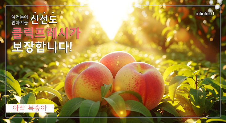 PSD 나무 식물 편집이미지 과일 자연 나뭇잎 햇빛 농장 정원 봄 수확 신선 과수원 가득함 복숭아 이미지편집 계절 잎 농업 태양 생태계 파일형식